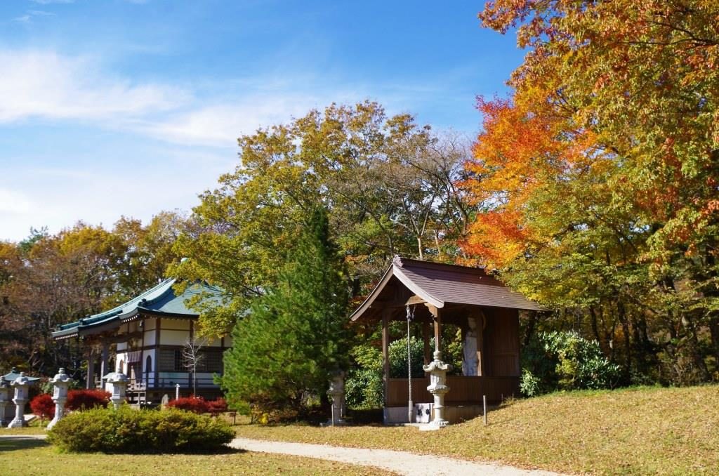 金剛宝寺秋の境内