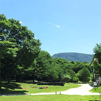 国立公園の中の樹木葬墓地