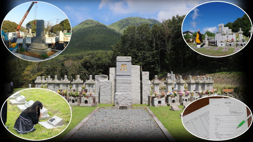 墓じまい＋樹木葬プランイメージ写真